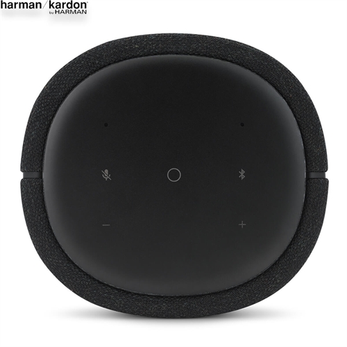 Loa Harman Kardon Citation 100 10